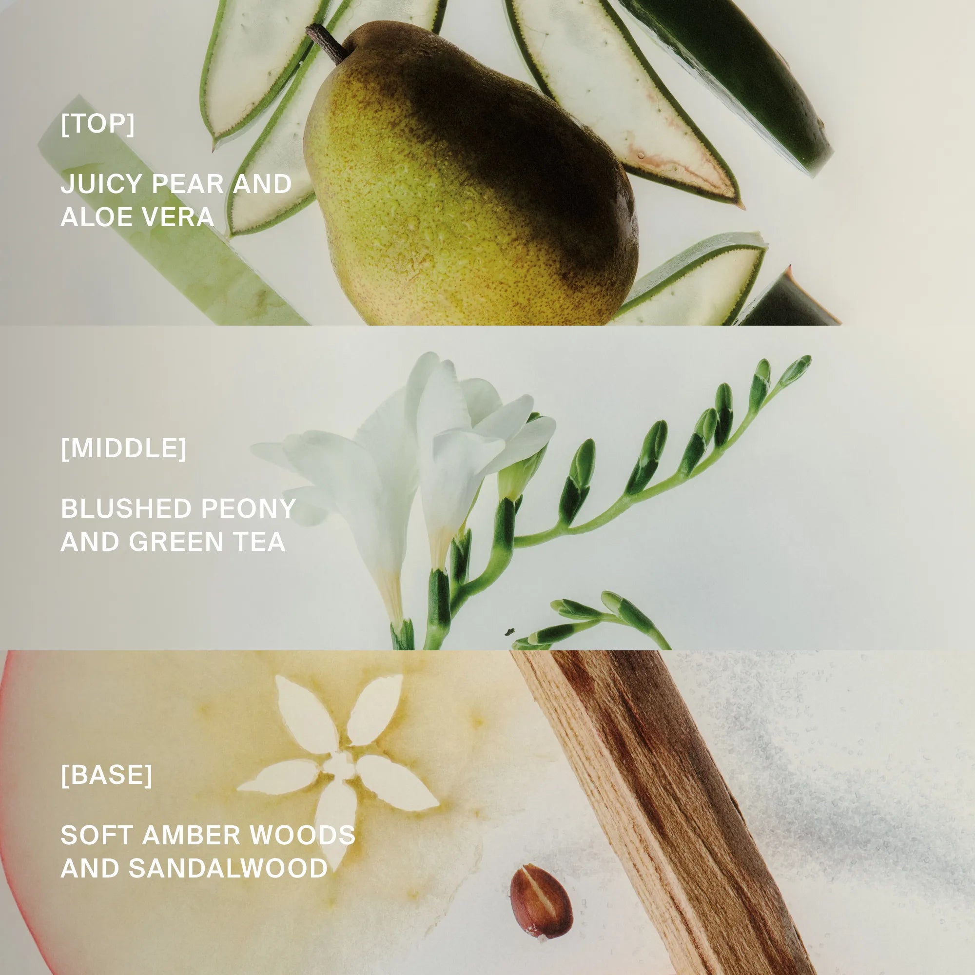 Perfect hair Day™ Sun-kissed Pear Advanced Clean Dry Shampoo