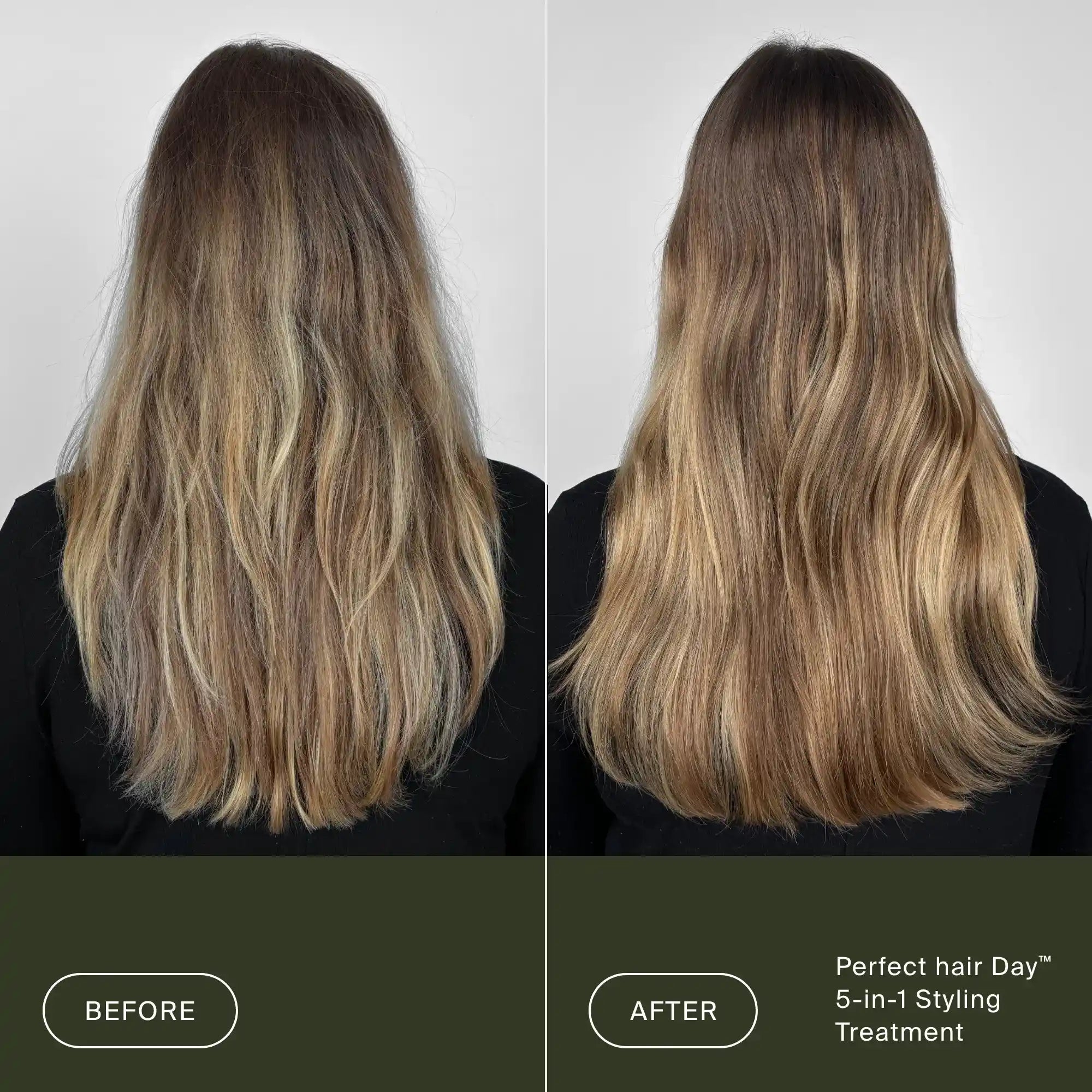 Perfect hair Day™ 5-in-1 Styling Treatment