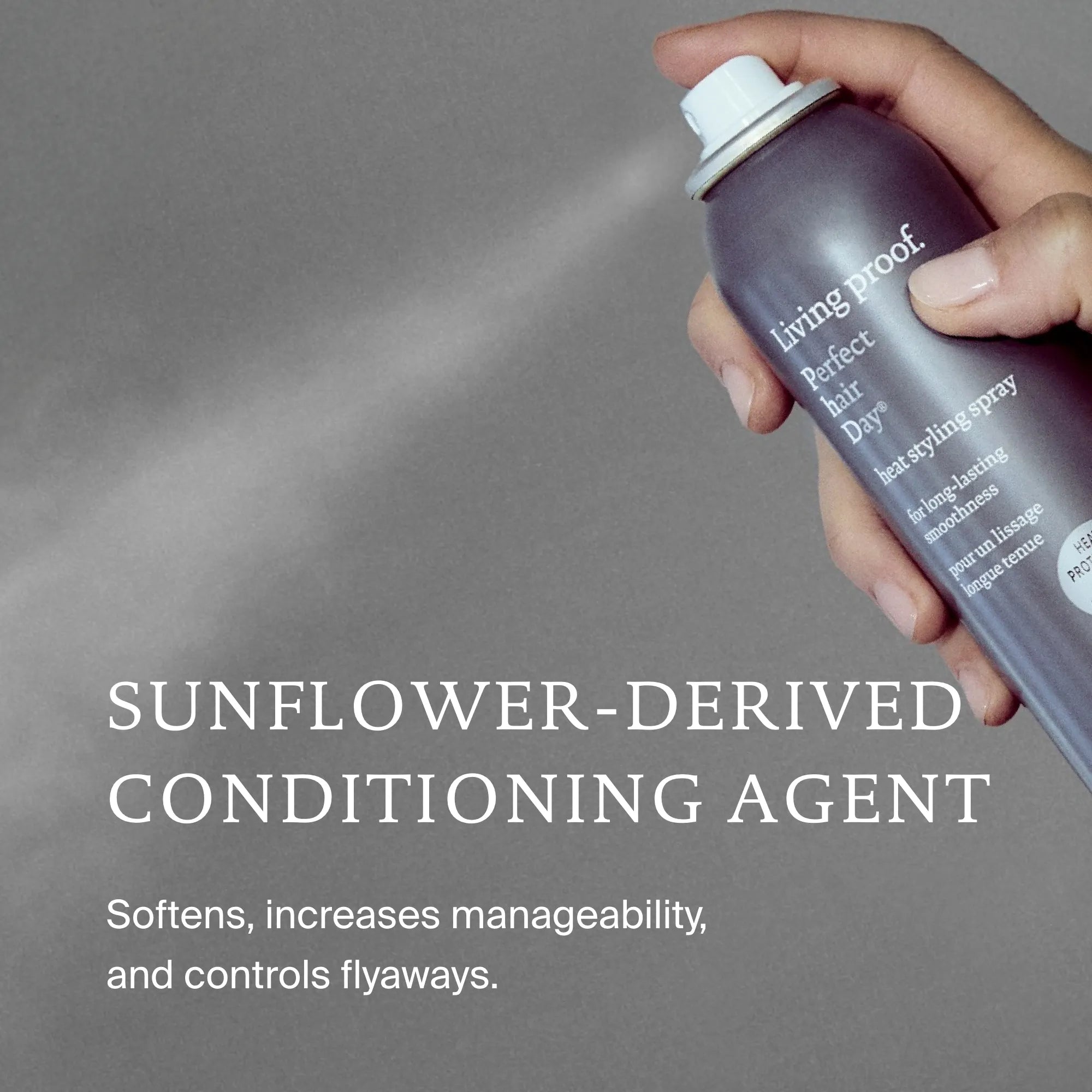 Perfect hair Day™ Heat Styling Spray