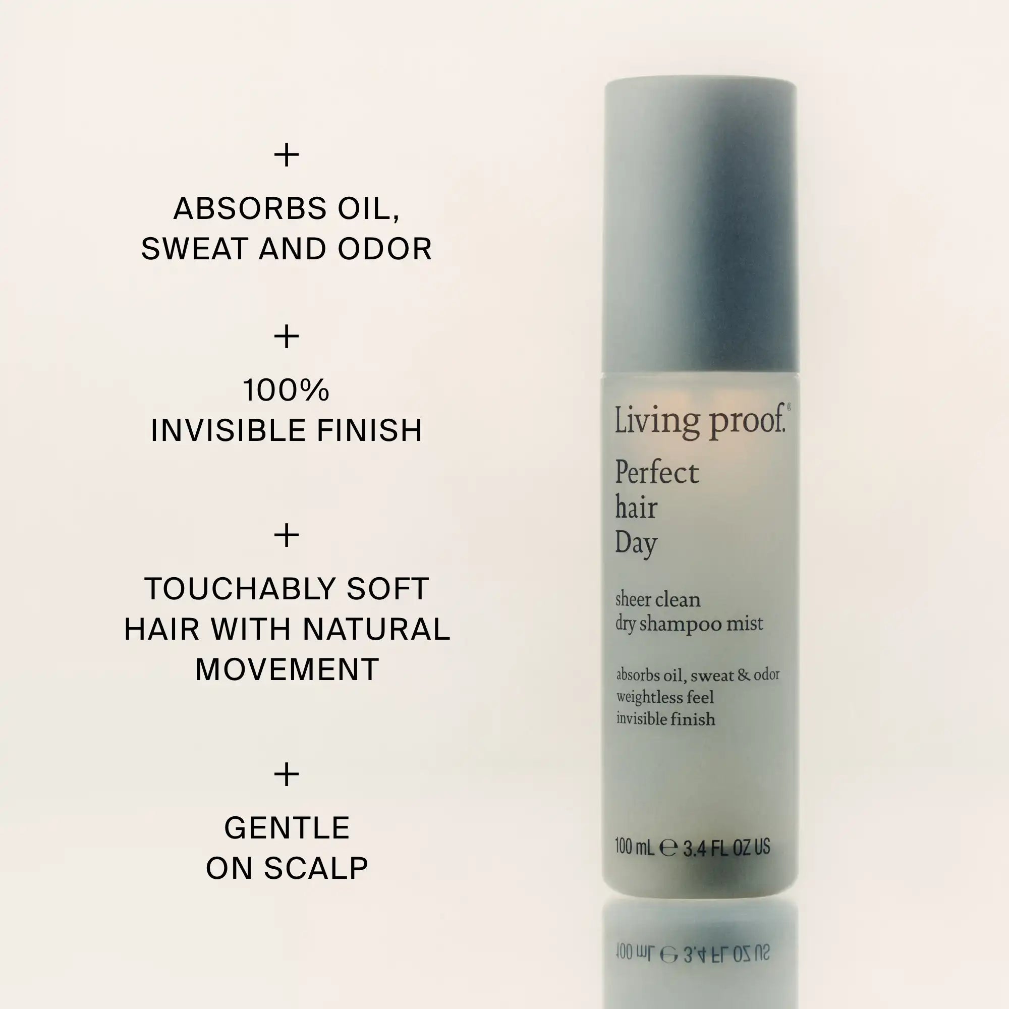 Perfect hair Day™ Sheer Clean Dry Shampoo Mist