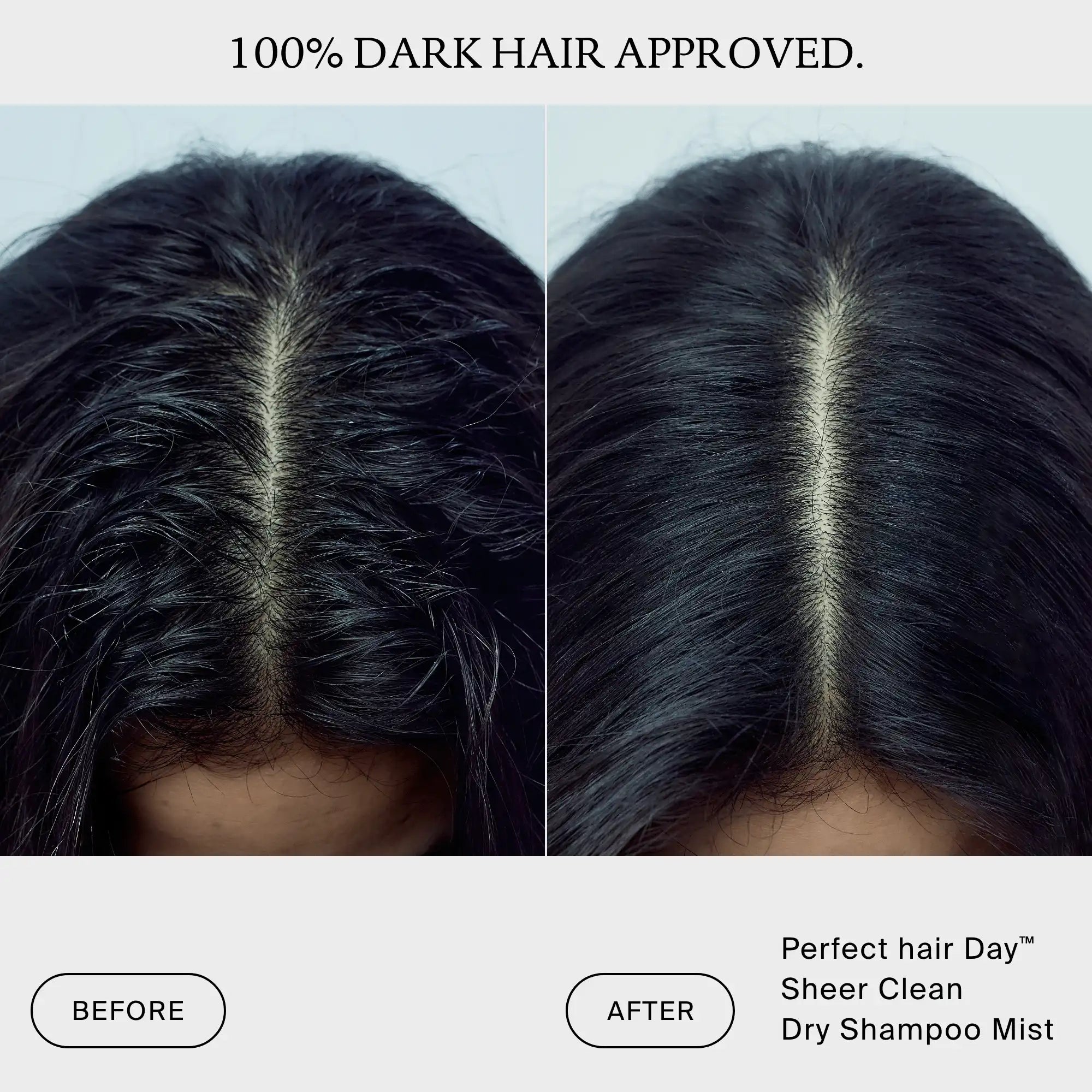 Perfect hair Day™ Sheer Clean Dry Shampoo Mist